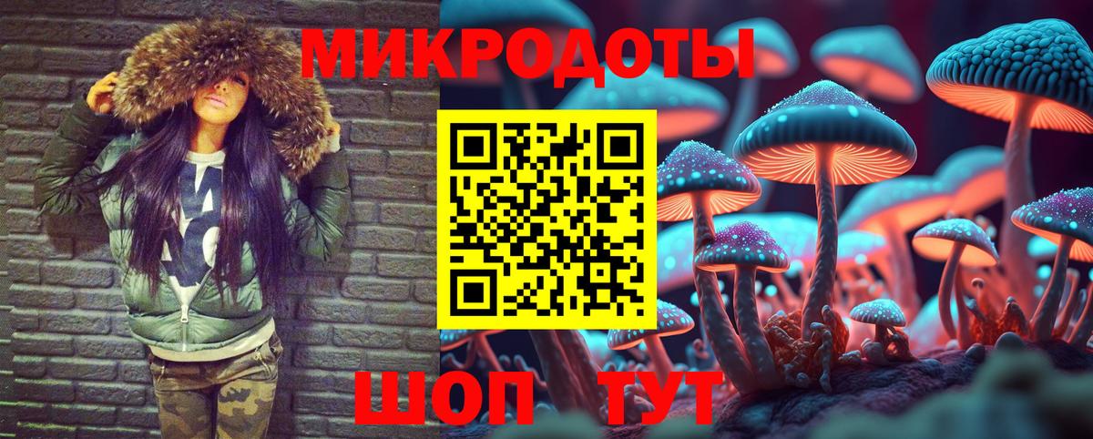 Подольск  Галлюциногенные грибы GOLDEN TEACHER  Вход с VPN 